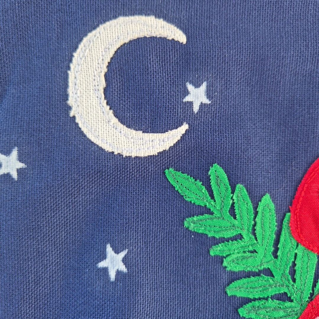 Toadstool Eye Zipper Project Bag | Under The Night Sky Collection